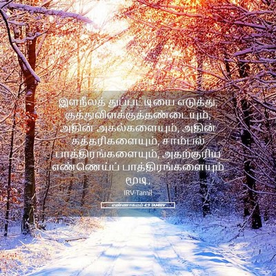 Picture 05 - எண்ணாகமம் 4:9 TAMIRV - இளநீலத் - Bible Verse Picture