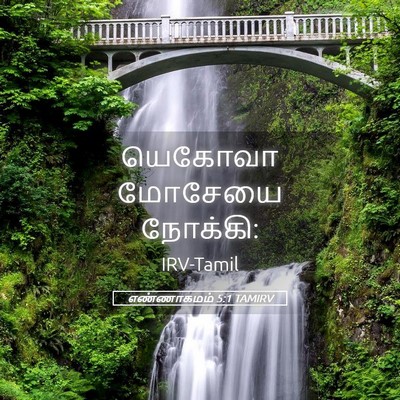 Picture 05 - எண்ணாகமம் 5:1 TAMIRV - யெகோவா மோசேயை - Bible Verse Picture