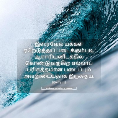 Picture 05 - எண்ணாகமம் 5:9 TAMIRV - இஸ்ரவேல் மக்கள் - Bible Verse Picture