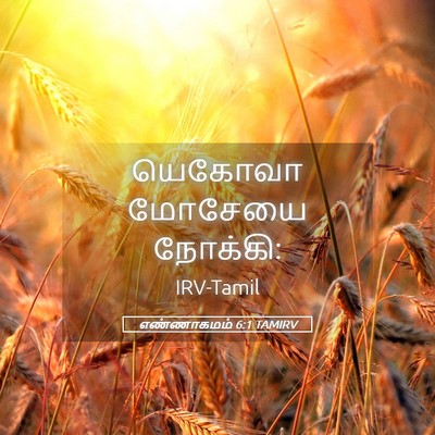 Picture 05 - எண்ணாகமம் 6:1 TAMIRV - யெகோவா மோசேயை - Bible Verse Picture