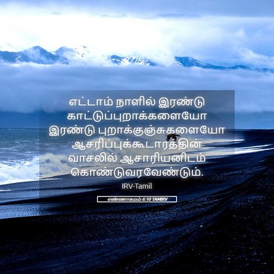 Picture 05 - எண்ணாகமம் 6:10 TAMIRV - எட்டாம் நாளில் - Bible Verse Picture