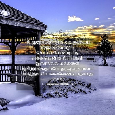 Picture 05 - எண்ணாகமம் 6:23 TAMIRV - “நீ ஆரோனோடும் - Bible Verse Picture