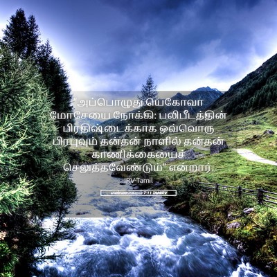 Picture 05 - எண்ணாகமம் 7:11 TAMIRV - “அப்பொழுது யெகோவா - Bible Verse Picture