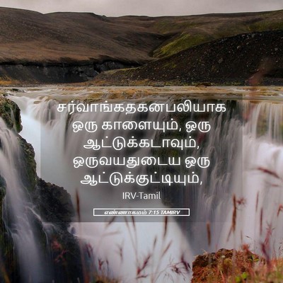 Picture 05 - எண்ணாகமம் 7:15 TAMIRV -  - Bible Verse Picture