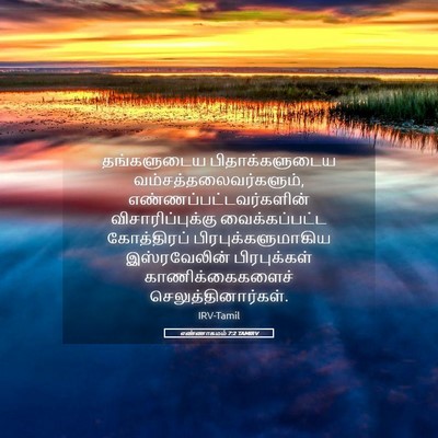 Picture 05 - எண்ணாகமம் 7:2 TAMIRV - தங்களுடைய - Bible Verse Picture