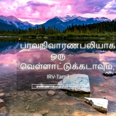 Picture 05 - எண்ணாகமம் 7:22 TAMIRV - பாவநிவாரணபலியாக - Bible Verse Picture