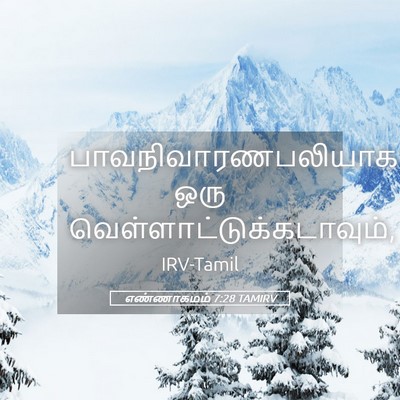 Picture 05 - எண்ணாகமம் 7:28 TAMIRV - பாவநிவாரணபலியாக - Bible Verse Picture
