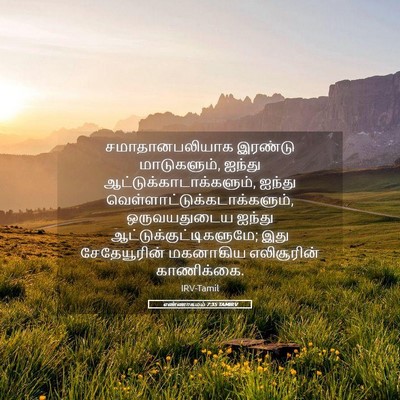 Picture 05 - எண்ணாகமம் 7:35 TAMIRV - சமாதானபலியாக - Bible Verse Picture