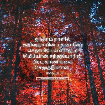 Picture 05 - எண்ணாகமம் 7:36 TAMIRV - ஐந்தாம் நாளில் - Bible Verse Picture
