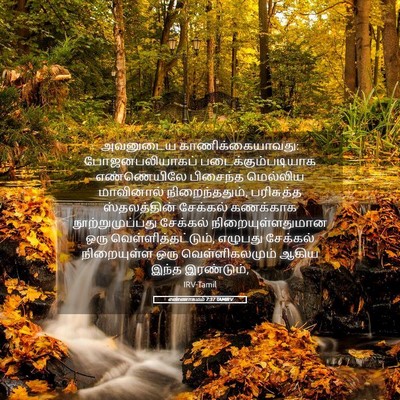 Picture 05 - எண்ணாகமம் 7:37 TAMIRV - அவனுடைய - Bible Verse Picture