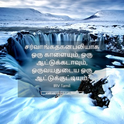 Picture 05 - எண்ணாகமம் 7:39 TAMIRV -  - Bible Verse Picture