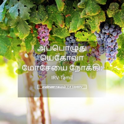 Picture 05 - எண்ணாகமம் 7:4 TAMIRV - அப்பொழுது யெகோவா - Bible Verse Picture
