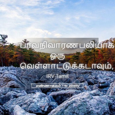Picture 05 - எண்ணாகமம் 7:46 TAMIRV - பாவநிவாரணபலியாக - Bible Verse Picture
