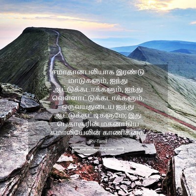 Picture 05 - எண்ணாகமம் 7:59 TAMIRV - சமாதானபலியாக - Bible Verse Picture
