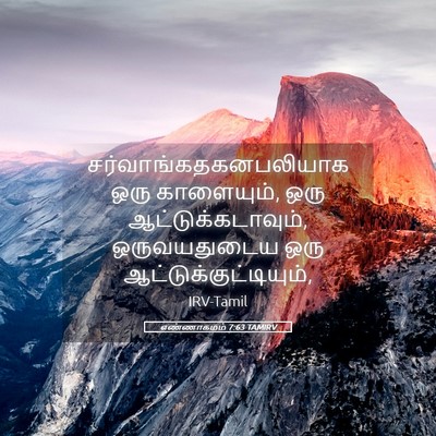 Picture 05 - எண்ணாகமம் 7:63 TAMIRV -  - Bible Verse Picture