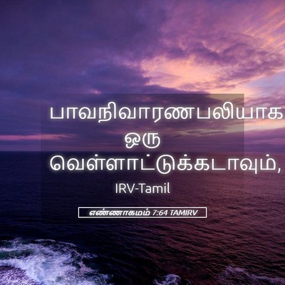 Picture 05 - எண்ணாகமம் 7:64 TAMIRV - பாவநிவாரணபலியாக - Bible Verse Picture