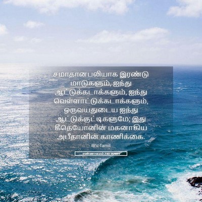 Picture 05 - எண்ணாகமம் 7:65 TAMIRV - சமாதானபலியாக - Bible Verse Picture