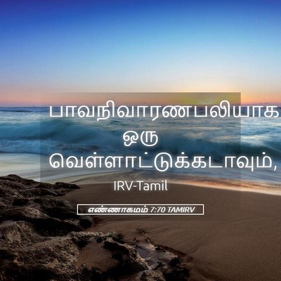 Picture 05 - எண்ணாகமம் 7:70 TAMIRV - பாவநிவாரணபலியாக - Bible Verse Picture