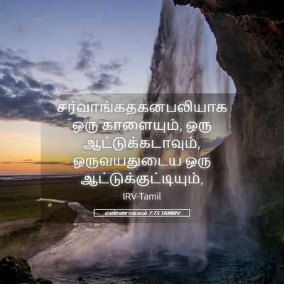 Picture 05 - எண்ணாகமம் 7:75 TAMIRV -  - Bible Verse Picture