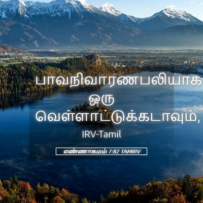 Picture 05 - எண்ணாகமம் 7:82 TAMIRV - பாவநிவாரணபலியாக - Bible Verse Picture