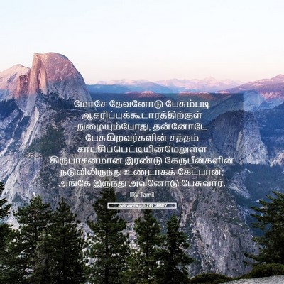 Picture 05 - எண்ணாகமம் 7:89 TAMIRV - மோசே தேவனோடு - Bible Verse Picture
