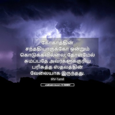 Picture 05 - எண்ணாகமம் 7:9 TAMIRV - கோகாத்தின் - Bible Verse Picture