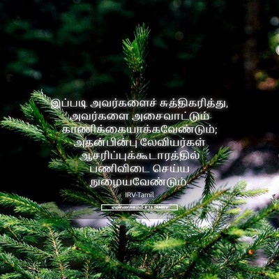 Picture 05 - எண்ணாகமம் 8:15 TAMIRV - இப்படி அவர்களைச் - Bible Verse Picture