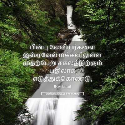 Picture 05 - எண்ணாகமம் 8:18 TAMIRV - பின்பு லேவியர்களை - Bible Verse Picture