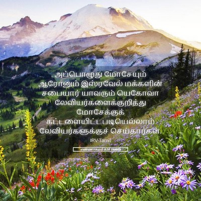 Picture 05 - எண்ணாகமம் 8:20 TAMIRV - அப்பொழுது - Bible Verse Picture