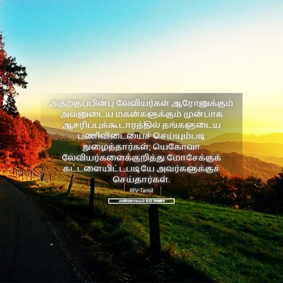 Picture 05 - எண்ணாகமம் 8:22 TAMIRV - அதற்குப்பின்பு - Bible Verse Picture