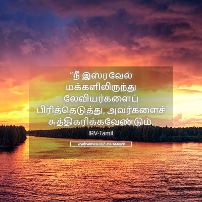 Picture 05 - எண்ணாகமம் 8:6 TAMIRV - “நீ இஸ்ரவேல் - Bible Verse Picture