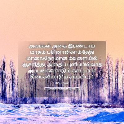 Picture 05 - எண்ணாகமம் 9:11 TAMIRV - அவர்கள் அதை - Bible Verse Picture