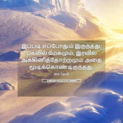 Picture 05 - எண்ணாகமம் 9:16 TAMIRV - இப்படி எப்போதும் - Bible Verse Picture