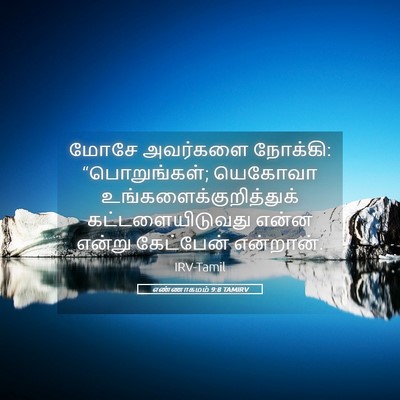Picture 05 - எண்ணாகமம் 9:8 TAMIRV - மோசே அவர்களை - Bible Verse Picture