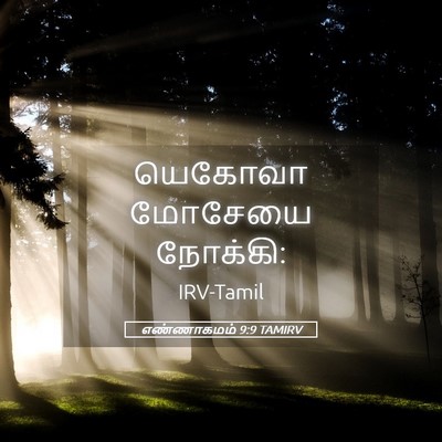 Picture 05 - எண்ணாகமம் 9:9 TAMIRV - யெகோவா மோசேயை - Bible Verse Picture