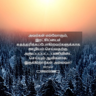 Picture 05 - எபிரெயர் 1:14 TAMIRV - அவர்கள் - Bible Verse Picture