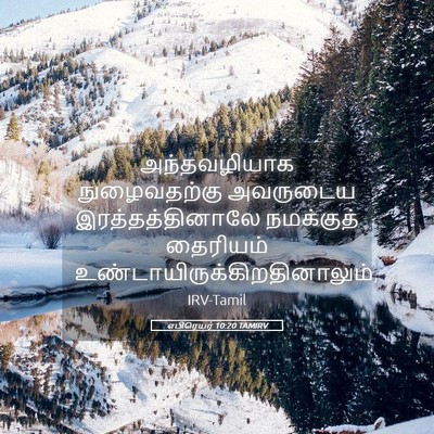 Picture 05 - எபிரெயர் 10:20 TAMIRV - அந்தவழியாக - Bible Verse Picture