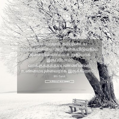 Picture 05 - எபிரெயர் 10:23 TAMIRV - அல்லாமலும், - Bible Verse Picture
