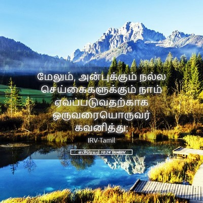 Picture 05 - எபிரெயர் 10:24 TAMIRV - மேலும், - Bible Verse Picture