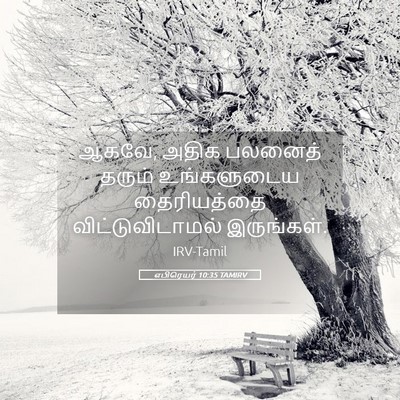 Picture 05 - எபிரெயர் 10:35 TAMIRV - ஆகவே, அதிக பலனைத் - Bible Verse Picture