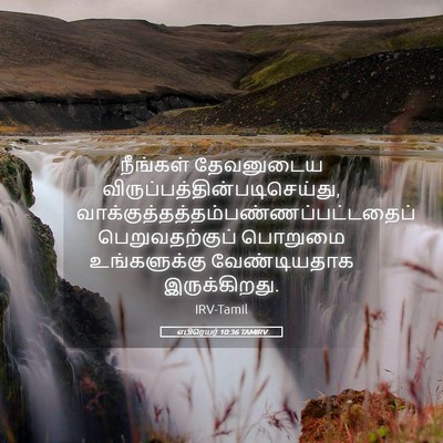 Picture 05 - எபிரெயர் 10:36 TAMIRV - நீங்கள் தேவனுடைய - Bible Verse Picture