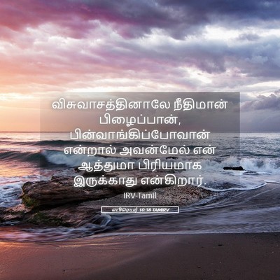 Picture 05 - எபிரெயர் 10:38 TAMIRV - விசுவாசத்தினாலே - Bible Verse Picture
