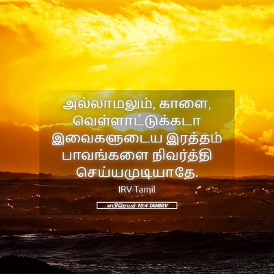 Picture 05 - எபிரெயர் 10:4 TAMIRV - அல்லாமலும், காளை, - Bible Verse Picture