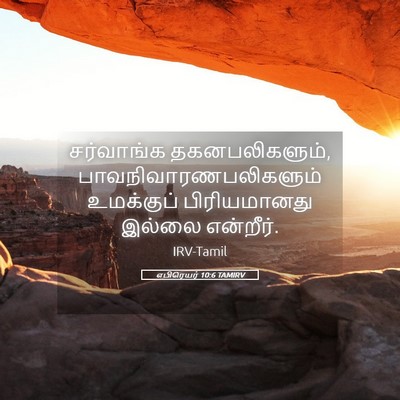 Picture 05 - எபிரெயர் 10:6 TAMIRV - சர்வாங்க - Bible Verse Picture
