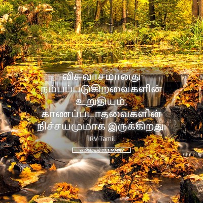 Picture 05 - எபிரெயர் 11:1 TAMIRV - விசுவாசமானது - Bible Verse Picture
