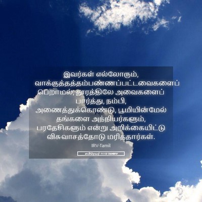 Picture 05 - எபிரெயர் 11:13 TAMIRV - இவர்கள் - Bible Verse Picture