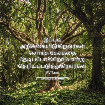 Picture 05 - எபிரெயர் 11:14 TAMIRV - இப்படி - Bible Verse Picture