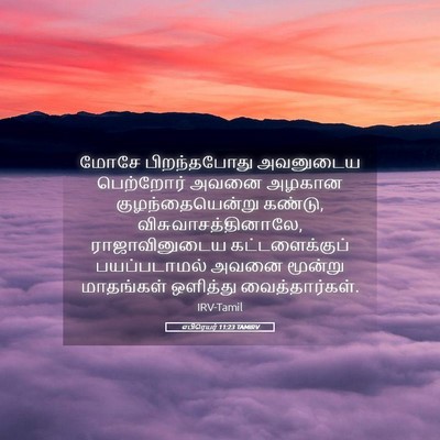 Picture 05 - எபிரெயர் 11:23 TAMIRV - மோசே பிறந்தபோது - Bible Verse Picture