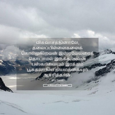 Picture 05 - எபிரெயர் 11:28 TAMIRV - விசுவாசத்தினாலே, - Bible Verse Picture
