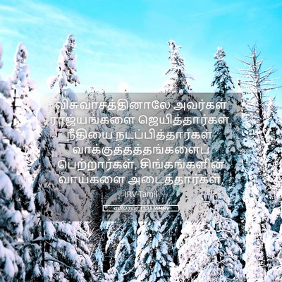 Picture 05 - எபிரெயர் 11:33 TAMIRV - விசுவாசத்தினாலே - Bible Verse Picture